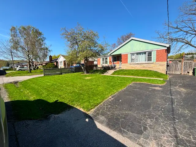 Yard Help - Photo 9
