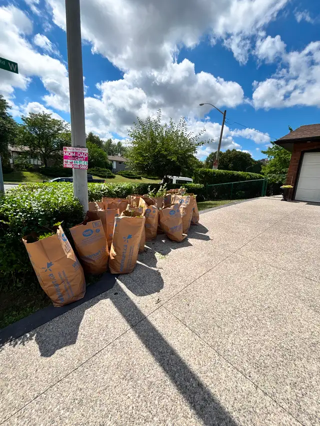 Yard Help - Photo 10