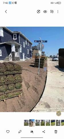sod rolls  $1