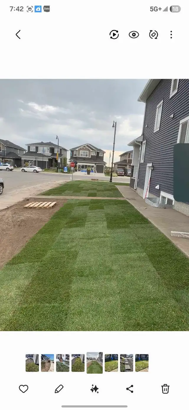 sod rolls  $1 - Photo 2
