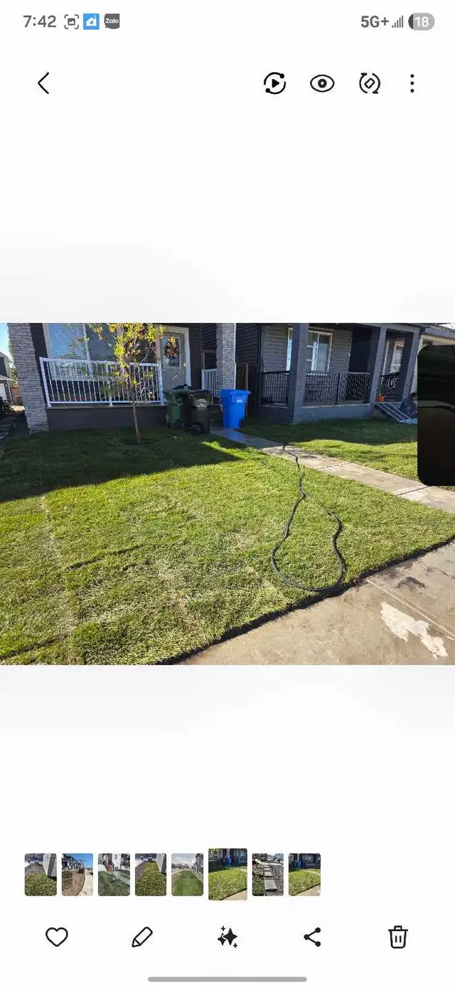 sod rolls  $1 - Photo 3