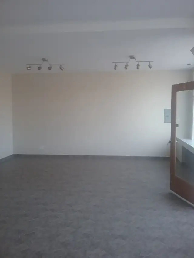 Commercial Unit-North End - Photo 3