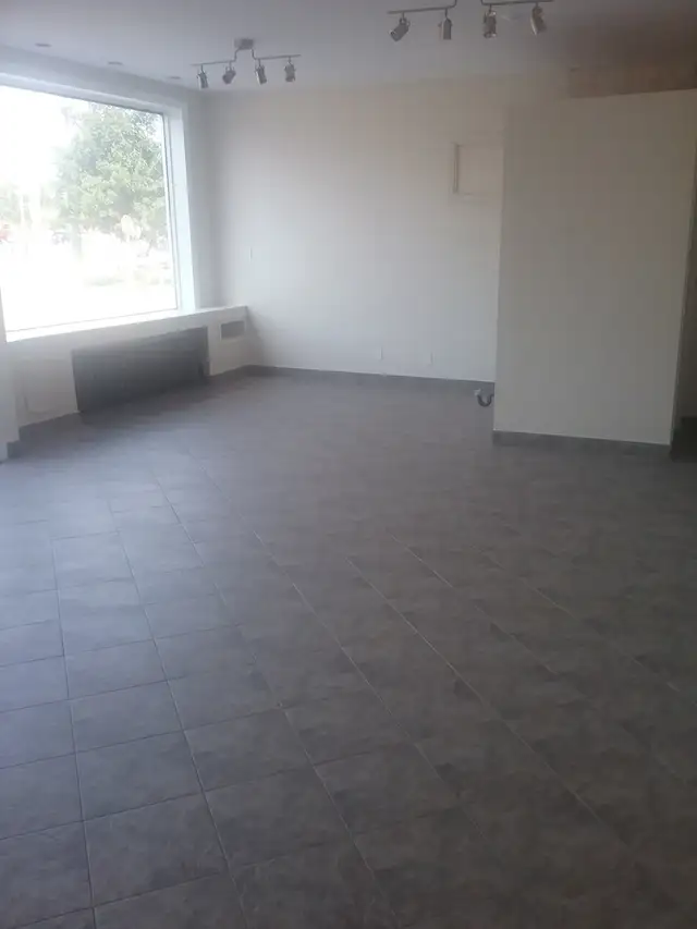 Commercial Unit-North End - Photo 4
