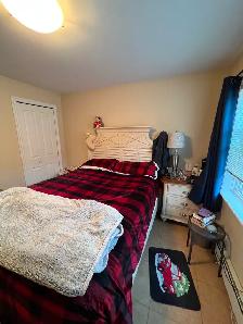 June, 2 bdr apt, storage, elevator, parking, excellent location - Photo 8