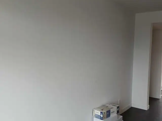painter for houses and more
