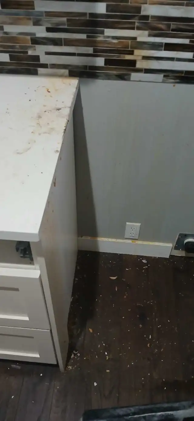 painter for houses and more - Photo 4