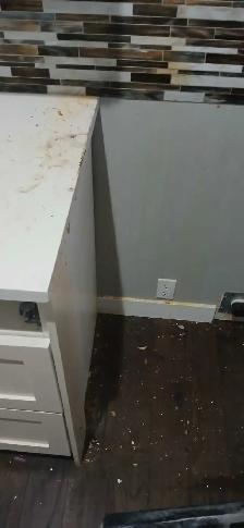painter for houses and more - Photo 4