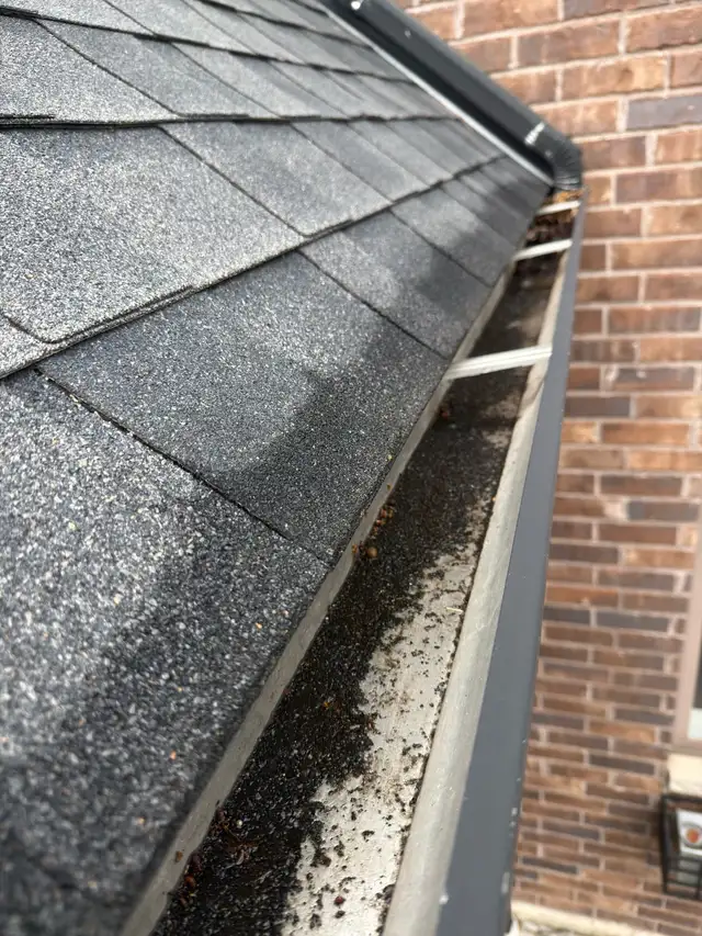 Season Wise Gutter Cleaning and Landscaping - Photo 3