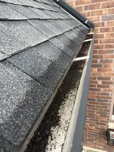 Season Wise Gutter Cleaning and Landscaping - Photo 3