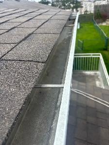 Season Wise Gutter Cleaning and Landscaping - Photo 6