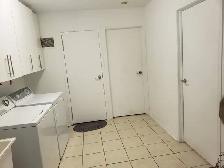Walkout bright basement apartment for rent, best area of Scarbor - Photo 3
