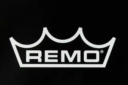 Remo tom heads