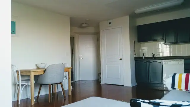 ALL Utilities Included! 1BR Condo   Parking | July 1st - Photo 4