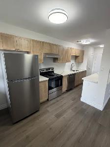 Renovated 1 bedroom 1 bathroom first floor apt Stouffville, ON - Photo 2