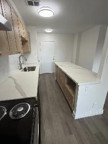 Renovated 1 bedroom 1 bathroom first floor apt Stouffville, ON - Photo 3