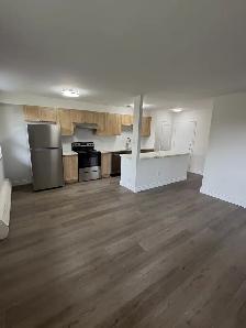 Renovated 1 bedroom 1 bathroom first floor apt Stouffville, ON - Photo 4