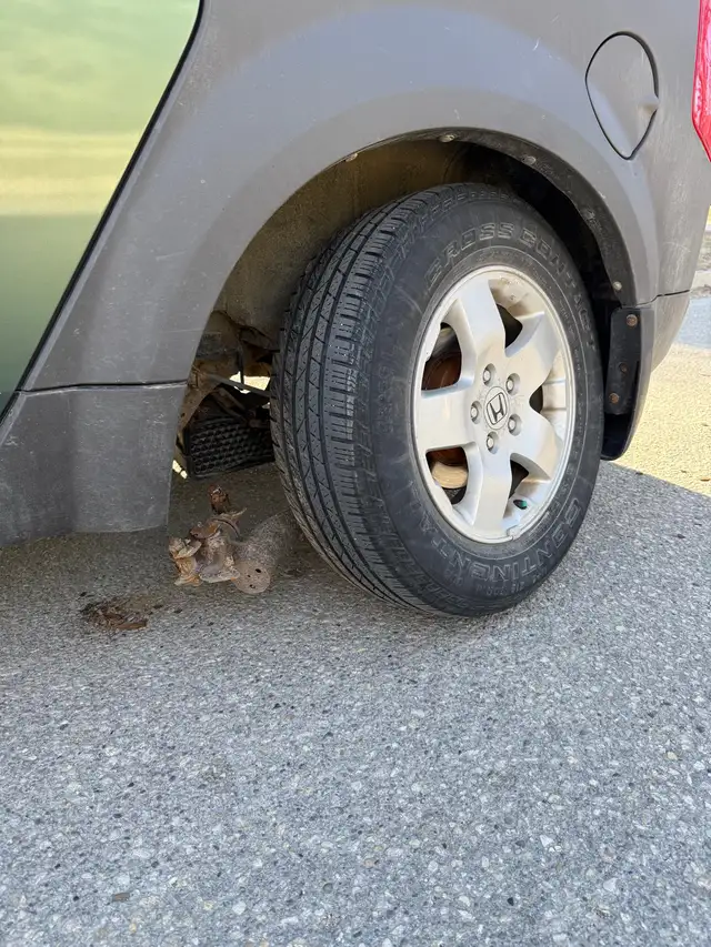 2003 Honda Element - Photo 5