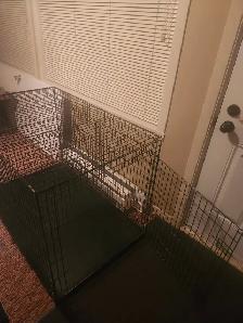 Cage à chien XXL