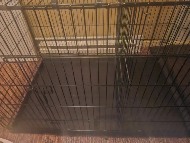 Cage à chien XXL - Photo 3