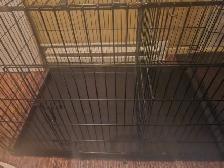 Cage à chien XXL - Photo 3