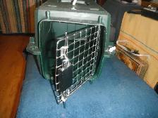 Pet Carrier 19'X13'X11' - Photo 2