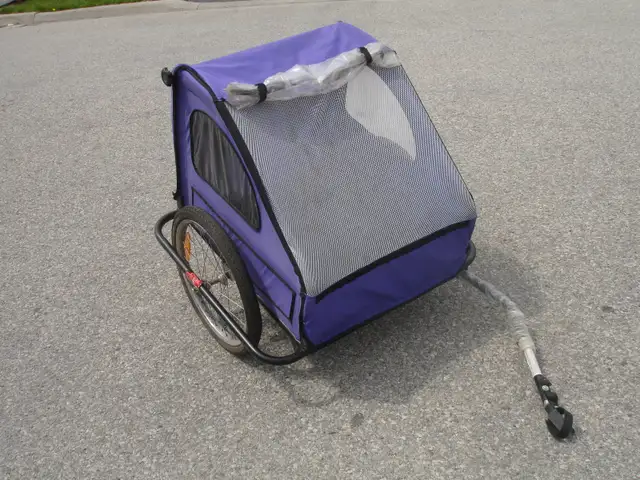 BIKE TRAILER FOR TWO KIDS EVERYTHING INCLUDED ONLY $75.00 FIRM!