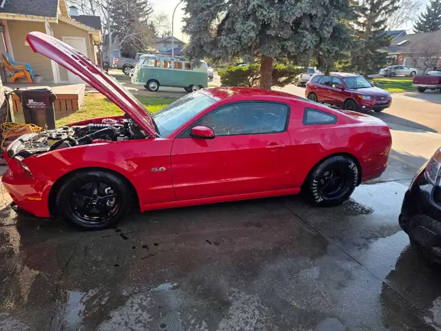 2014 mustang gt supercharged - Photo 2