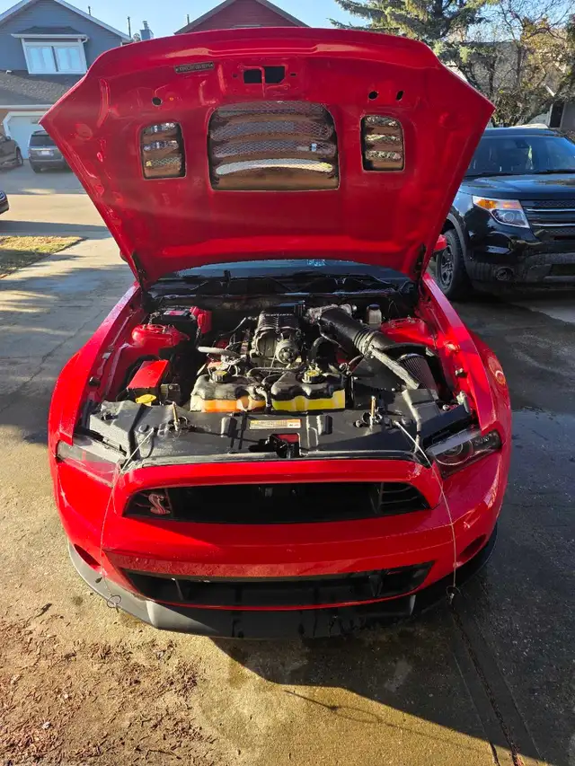 2014 mustang gt supercharged - Photo 3