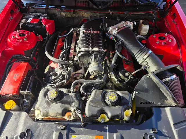 2014 mustang gt supercharged - Photo 5
