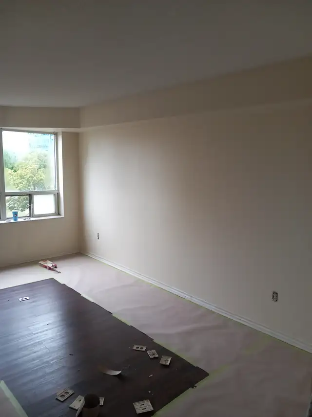 Painter,  plastering,  repairs