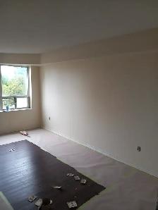 Painter,  plastering,  repairs