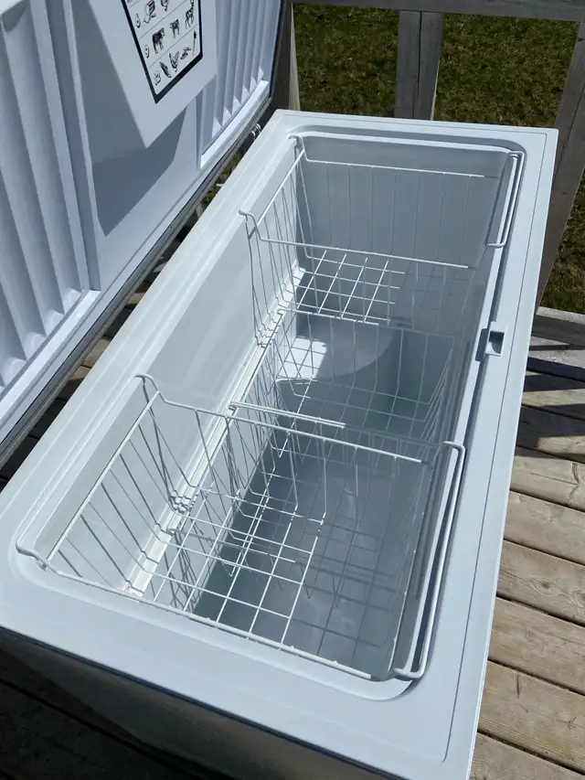 Chest Freezer - Photo 4
