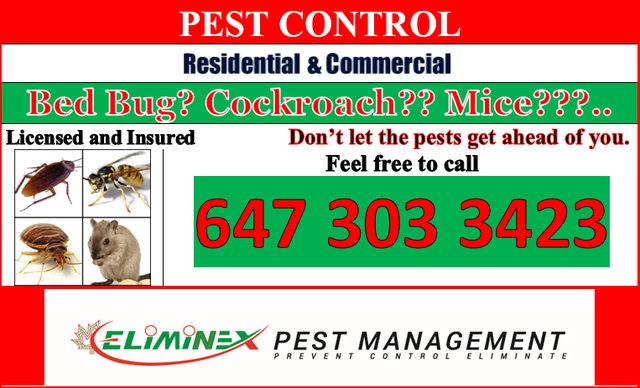 24/7 PEST CONTROL ELIMINEX PEST MANAGEMENT647 303 3423