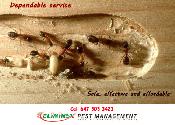 24/7 PEST CONTROL ELIMINEX PEST MANAGEMENT647 303 3423 - Photo 3