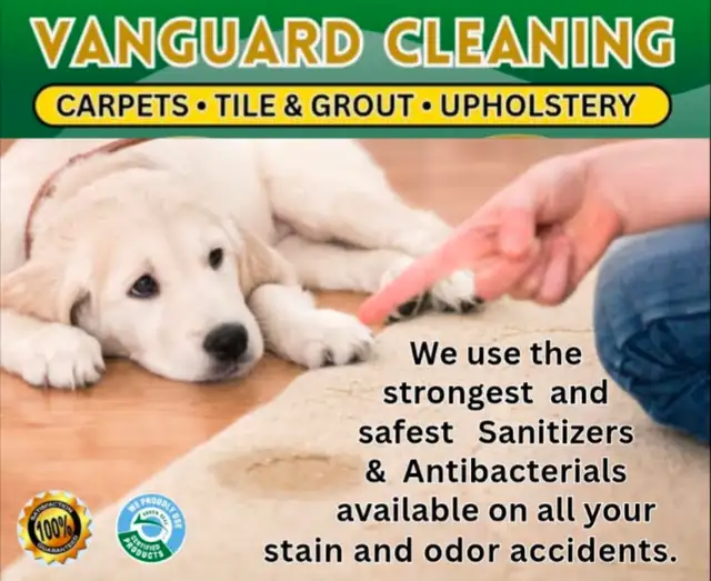 CARPET & TILE & FURNITURE CLEANER - Photo 9