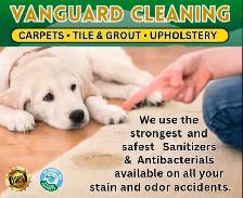 CARPET & TILE & FURNITURE CLEANER - Photo 9