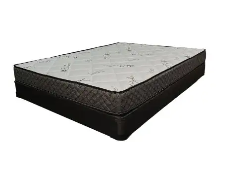 The Mattress Your Back Has Been Dreaming Of - Photo 2
