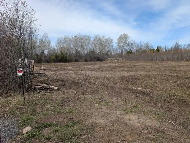 2 Acre Serviced Country Property - Photo 2