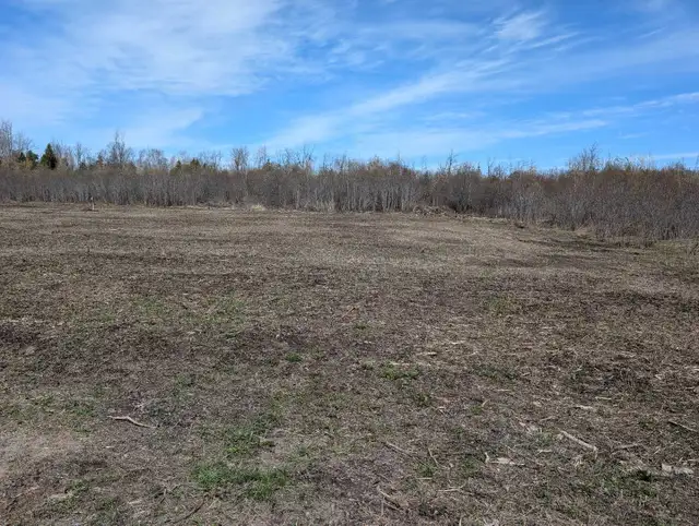2 Acre Serviced Country Property - Photo 3