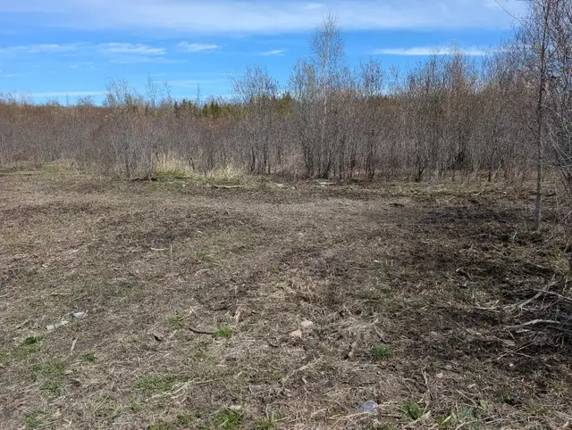 2 Acre Serviced Country Property - Photo 4