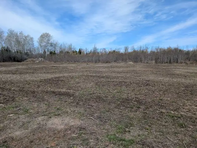 2 Acre Serviced Country Property - Photo 5
