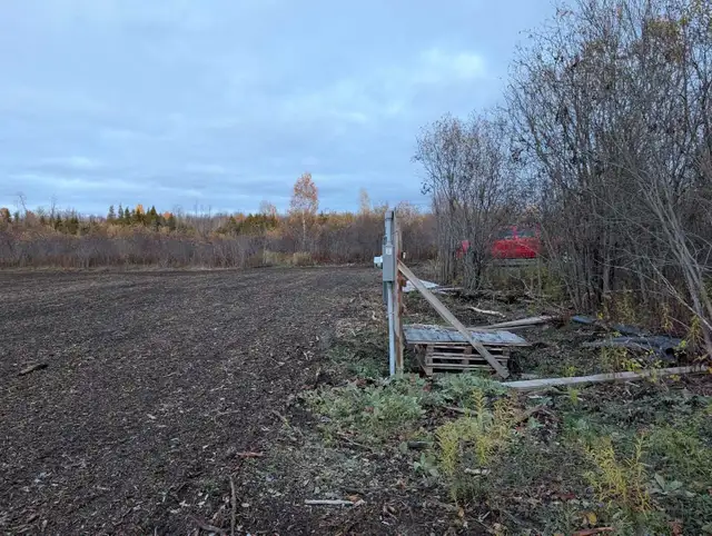 2 Acre Serviced Country Property - Photo 7