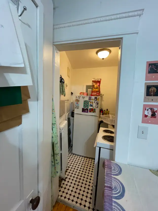 Nice bachelor unit in Centretown - Available July 1st! - Photo 4