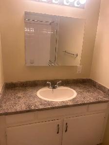 Spacious 1 Bed near Marple Loop Available - Photo 9