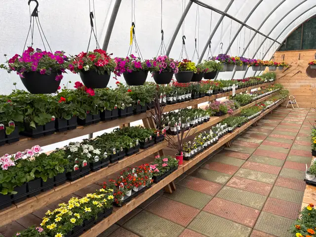 Greenhouse Worker - Photo 2