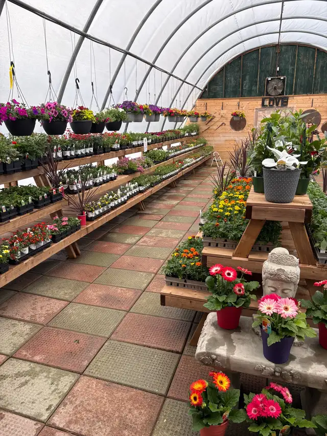 Greenhouse Worker - Photo 3