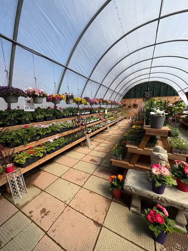Greenhouse Worker - Photo 4