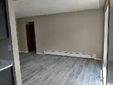Large One Bedroom Apt near Rockway Golf Course – Newly Renovated - Photo 9