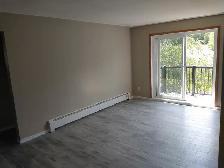 Large One Bedroom Apt near Rockway Golf Course – Newly Renovated - Photo 10