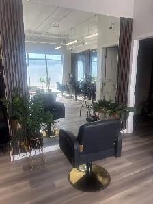 a established salon and spa in a great location for sale